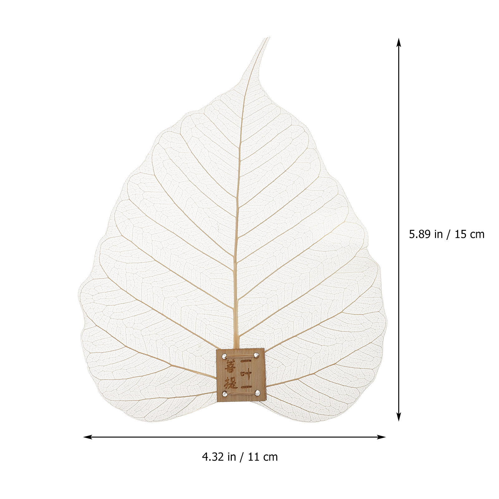 Strainer Filter Leaf Shape Fin - Home Bar Supplies review and price